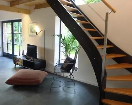 Carlotta Studio Osterhever